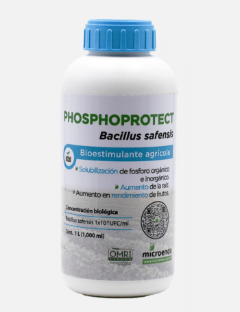 Fertilizante organico de fosforo